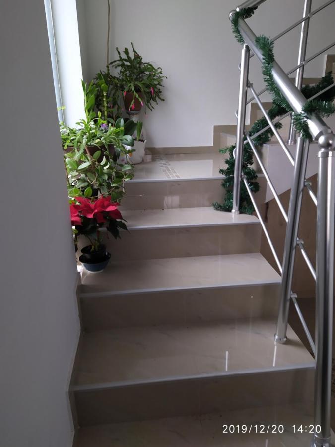 Sunce Bed & Breakfast Cuprija Bagian luar foto